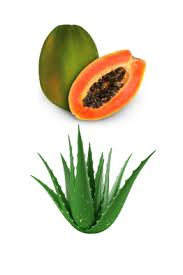 Neem Oil Papaya Aloe Vira Soap